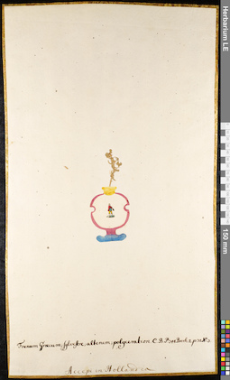 LE 01091955