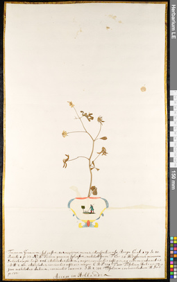 LE 01091956