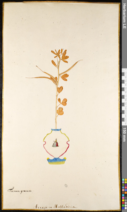 LE 01091957