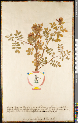 LE 01091961