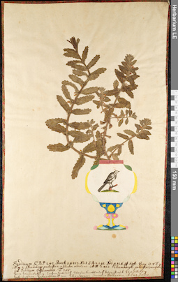 LE 01091964
