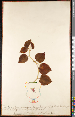 LE 01091970