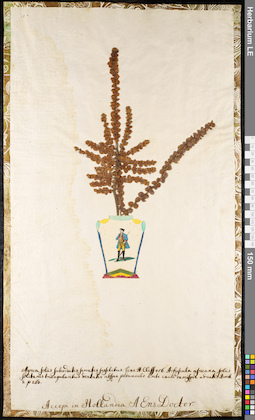 LE 01091972