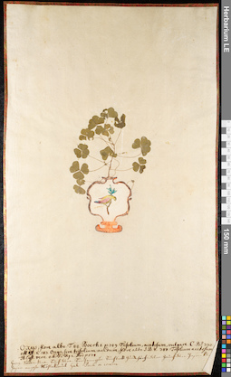 LE 01091973