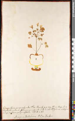 LE 01091974