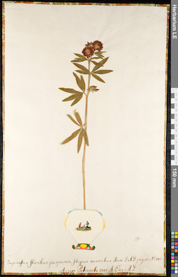 LE 01091983