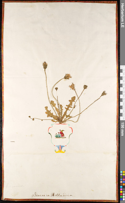LE 01091992