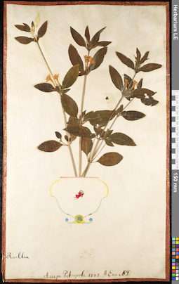 LE 01091995