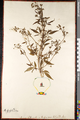 LE 01092002