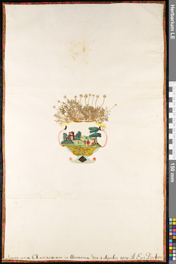 LE 01092006