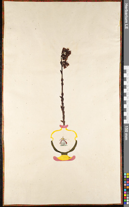 LE 01092011