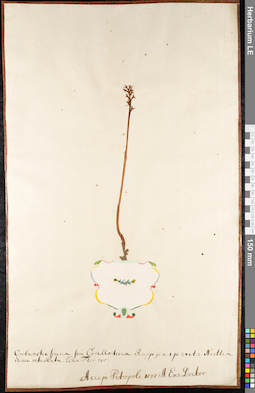 LE 01092013