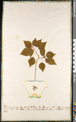 LE 01092028