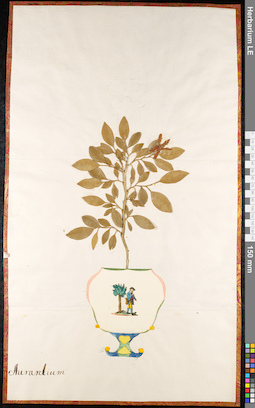 LE 01092033