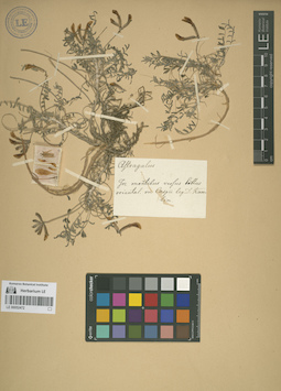 LE 00052472