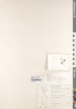 LE 01068696