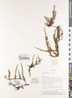 LE 01068730