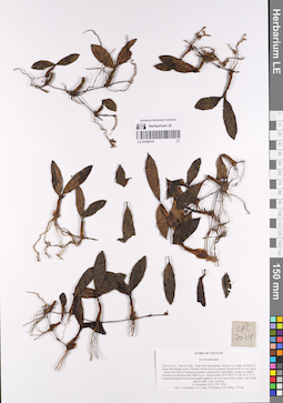LE 01068791