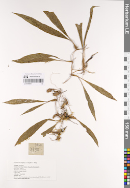 LE 01068851