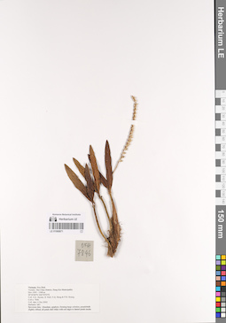 LE 01068871