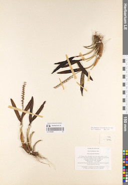 LE 01068880