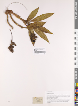 LE 01068989