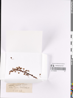 LE 01068995