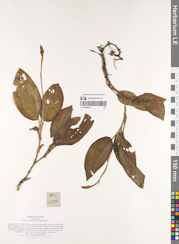 LE 01069017