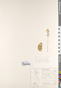 LE 01069024