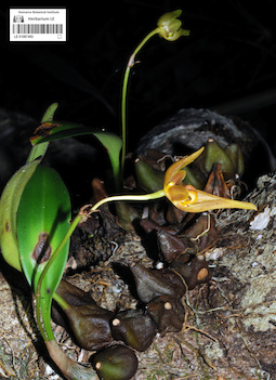 LE 01087493