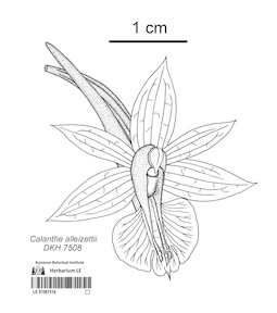 LE 01087516