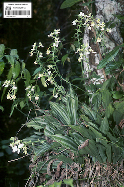 LE 01087519