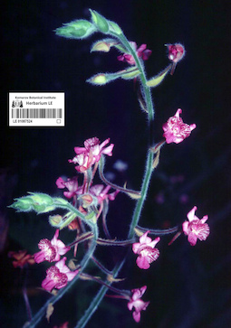 LE 01087524