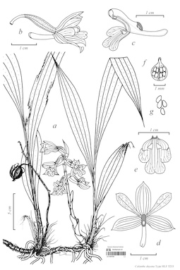 LE 01087536