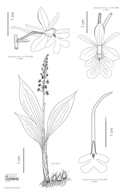 LE 01087540