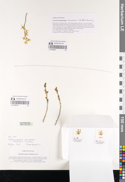 LE 01059159