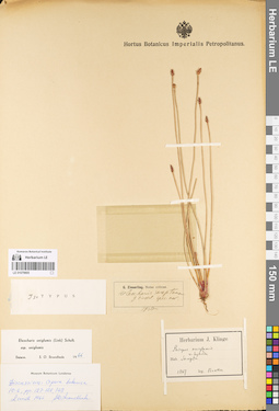 LE 01079905