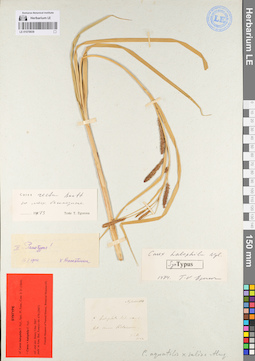 LE 01079939