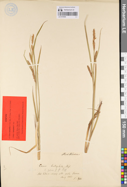 LE 01079940