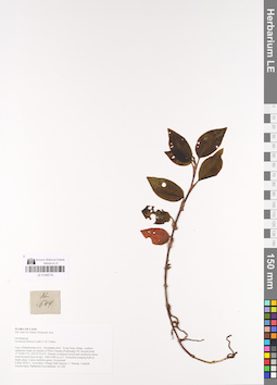 LE 01048718