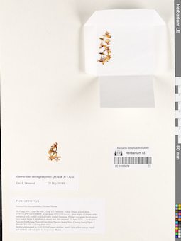 LE 01055079