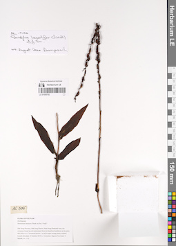 LE 01058792