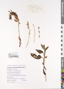 LE 01059479