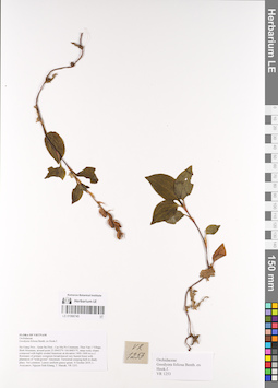 LE 01066745