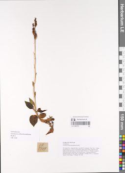 LE 01066763