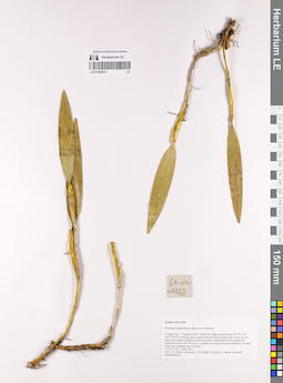 LE 01069079