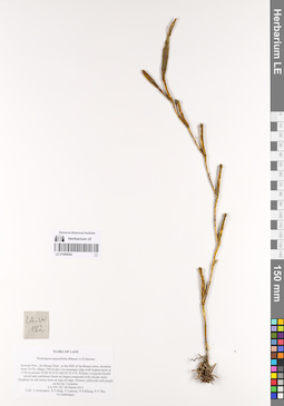 LE 01069082
