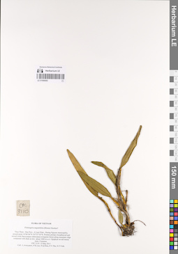 LE 01069083
