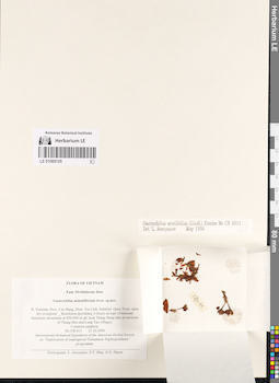 LE 01069105