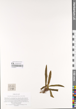 LE 01069118